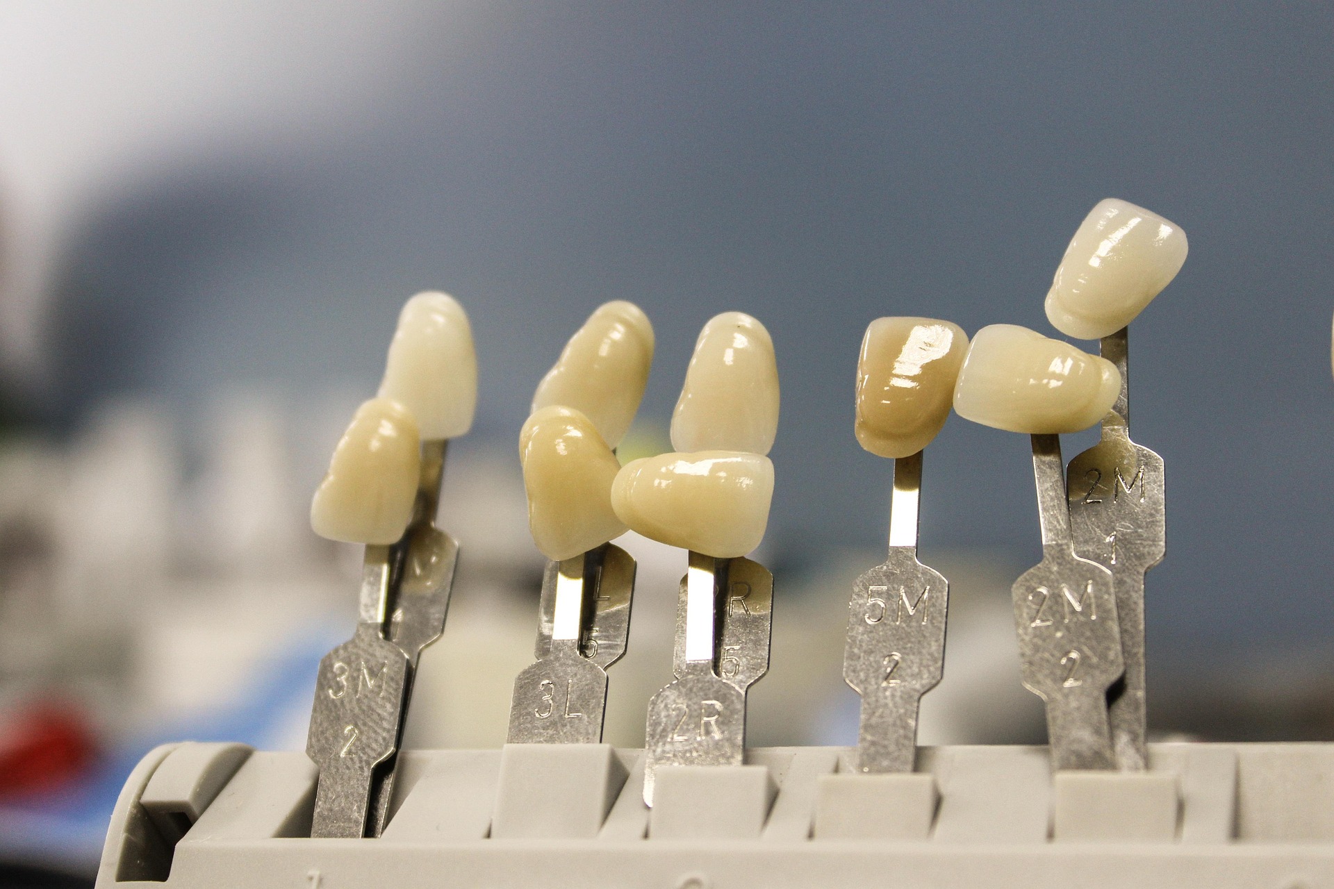 Endodoncia