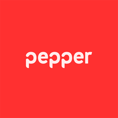 Pepper, financiación