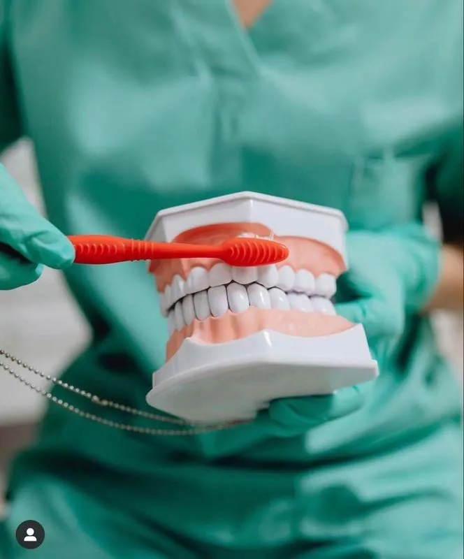 Explicación de la técnica de cepillado con un modelo dental